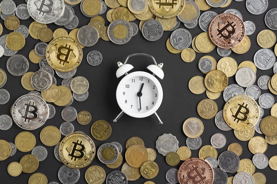Bitcoin price history and growth
